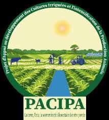 Logo PACIPA